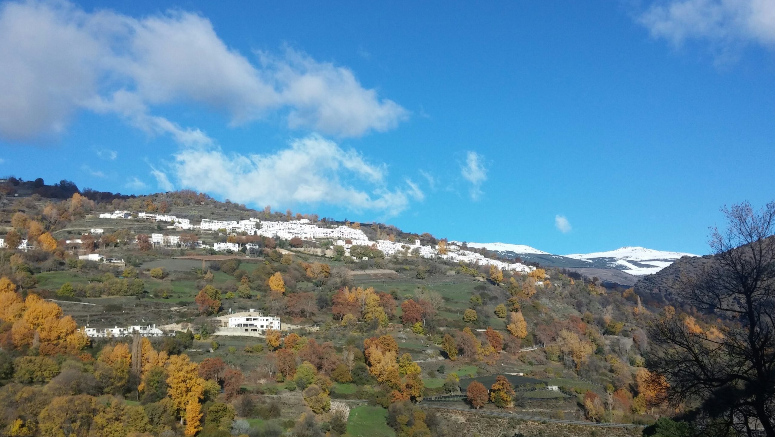 El Cercado Turismo Rural & SPA 6